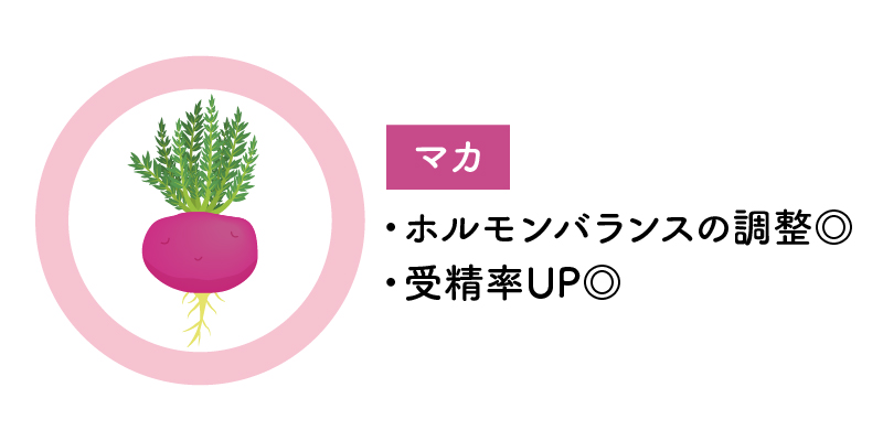マカ ホルモンバランスの調整 受精率UP