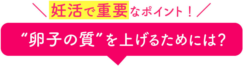 妊活で重要なポイント！卵子の質を上げるためには？