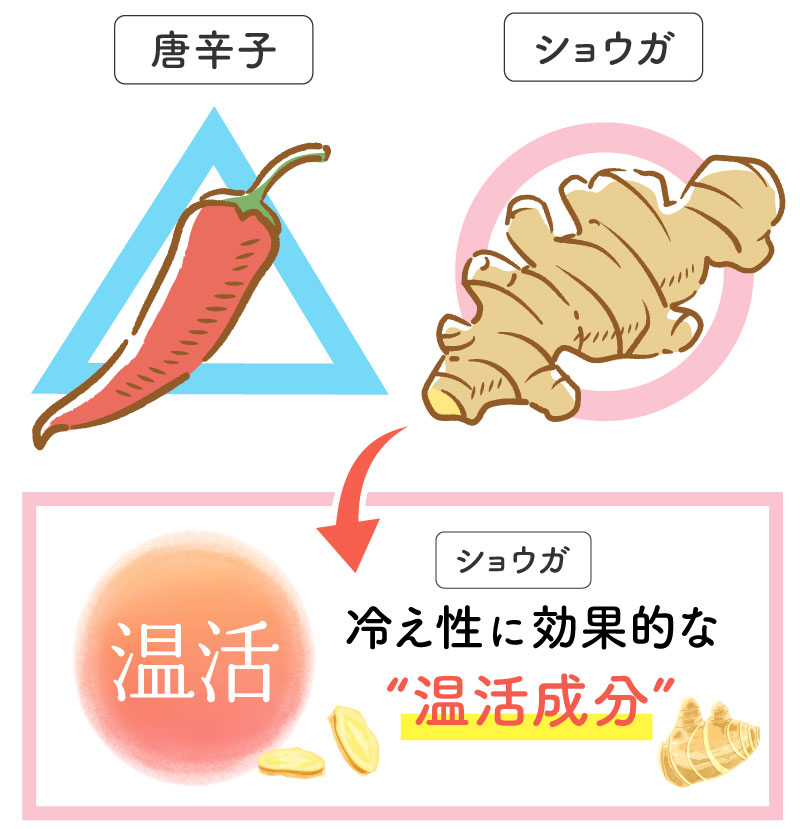 温活に有効な成分は？