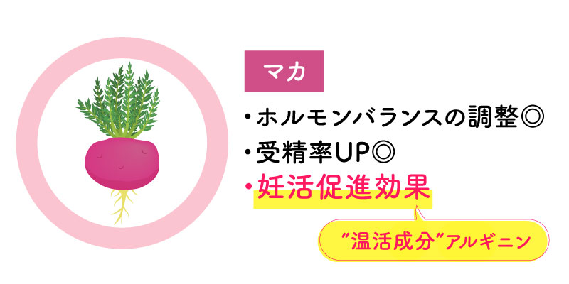 マカ ホルモンバランスの調整 受精率UP