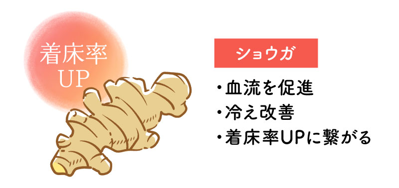 ミトコンドリア活性成分 卵子の質UP！ミトコンドリア スピルリナ